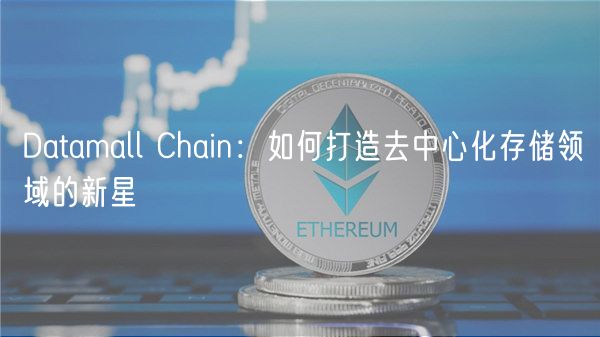 Datamall Chain:如何打造去中心化存储领域的新星插图 Datamall Chain:如何打造去中心化存储领域的新星