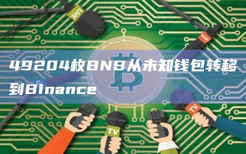 49204枚BNB从未知钱包转移到Binance