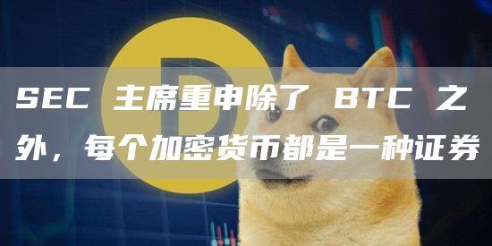 SEC 主席重申除了 BTC 之外,每个加密货币都是一种证券插图 SEC 主席重申除了 BTC 之外,每个加密货币都是一种证券