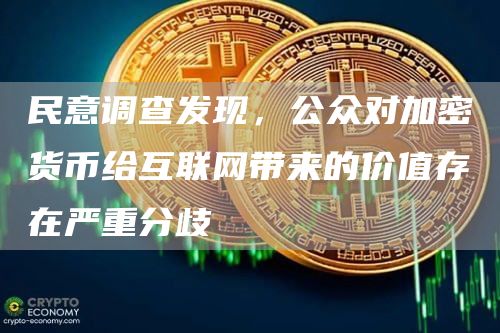 民意调查发现，公众对加密货币给互联网带来的价值存在严重分歧