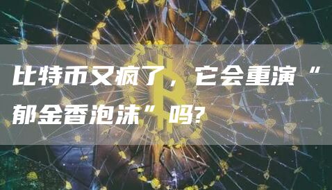 比特币又疯了,它会重演“郁金香泡沫”吗?插图 比特币又疯了,它会重演“郁金香泡沫”吗?