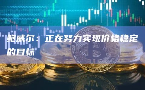 鲍威尔：正在努力实现价格稳定的目标