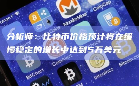 分析师：比特币价格预计将在缓慢稳定的增长中达到5万美元