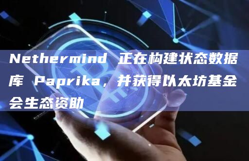Nethermind 正在构建状态数据库 Paprika,并获得以太坊基金会生态资助插图 Nethermind 正在构建状态数据库 Paprika,并获得以太坊基金会生态资助