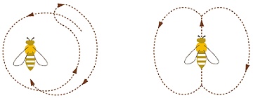 ZKML与分布式算力:AI与Web3的潜在治理叙事插图 ZKML与分布式算力:AI与Web3的潜在治理叙事