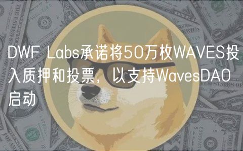 DWF Labs承诺将50万枚WAVES投入质押和投票,以支持WavesDAO启动插图 DWF Labs承诺将50万枚WAVES投入质押和投票,以支持WavesDAO启动