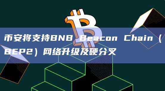 币安将支持BNB Beacon Chain(BEP2)网络升级及硬分叉插图 币安将支持BNB Beacon Chain(BEP2)网络升级及硬分叉