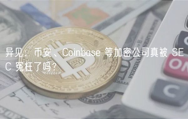 异见:币安、Coinbase 等加密公司真被 SEC 冤枉了吗?插图 异见:币安、Coinbase 等加密公司真被 SEC 冤枉了吗?