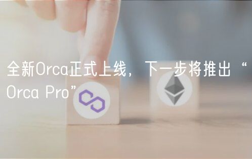 全新Orca正式上线,下一步将推出“Orca Pro”插图 全新Orca正式上线,下一步将推出“Orca Pro”