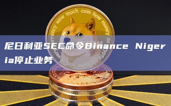 尼日利亚SEC命令Binance Nigeria停止业务插图 尼日利亚SEC命令Binance Nigeria停止业务