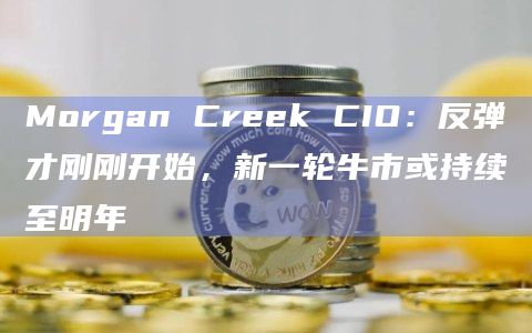 Morgan Creek CIO:反弹才刚刚开始,新一轮牛市或持续至明年插图 Morgan Creek CIO:反弹才刚刚开始,新一轮牛市或持续至明年