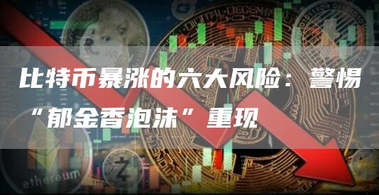 比特币暴涨的六大风险:警惕“郁金香泡沫”重现插图 比特币暴涨的六大风险:警惕“郁金香泡沫”重现