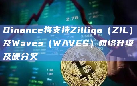 Binance将支持Zilliqa(ZIL)及Waves(WAVES)网络升级及硬分叉插图 Binance将支持Zilliqa(ZIL)及Waves(WAVES)网络升级及硬分叉