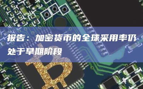 报告:加密货币的全球采用率仍处于早期阶段插图 报告:加密货币的全球采用率仍处于早期阶段