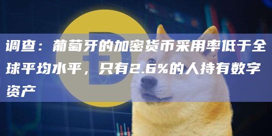 调查：葡萄牙的加密货币采用率低于全球平均水平，只有2.6%的人持有数字资产