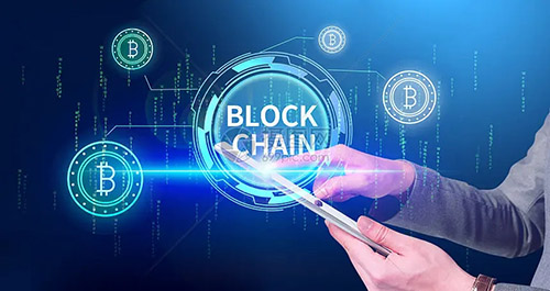 牛市割韭菜插图 牛市割韭菜