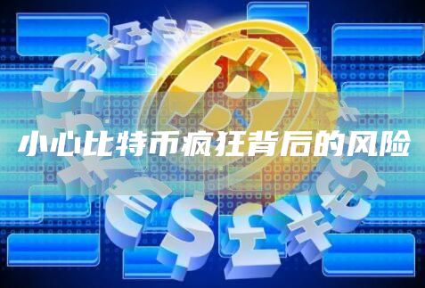 小心比特币疯狂背后的风险插图 小心比特币疯狂背后的风险