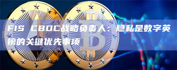 FIS CBDC战略负责人：隐私是数字英镑的关键优先事项