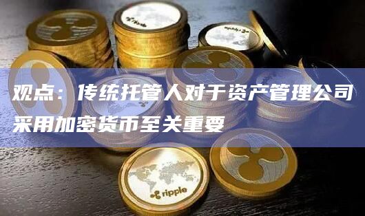 观点:传统托管人对于资产管理公司采用加密货币至关重要插图 观点:传统托管人对于资产管理公司采用加密货币至关重要