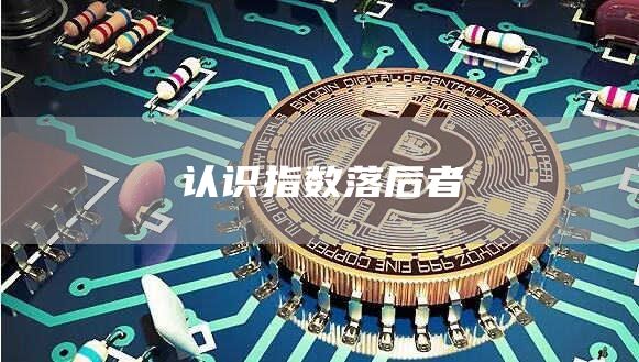 认识指数落后者插图 认识指数落后者