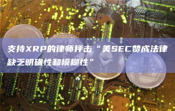 支持XRP的律师抨击“美SEC赞成法律缺乏明确性和模糊性”插图 支持XRP的律师抨击“美SEC赞成法律缺乏明确性和模糊性”