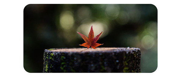 NFT资产市场爆发 , 接棒DeFi开启新航程 NFT资产市场爆发,超越DEFI开始新的征程