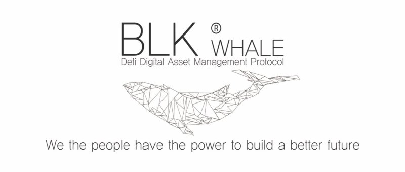 Defi的进化!Defi 3.0+ — 黑鲸计划(BLK whale)插图1 Defi的进化!Defi 3.0+ — 黑鲸计划(BLK whale)