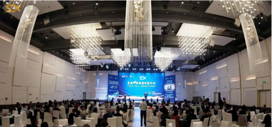 马斯克的秘密，星链区块网StarLink X悄然启动！