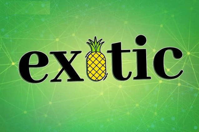Exotic Markets:能成为加密圈的私人银行吗?插图 Exotic Markets:能成为加密圈的私人银行吗?