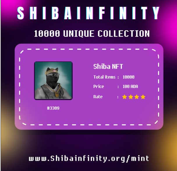 Shibainfinity开始公开铸造Shiba NFT,加入即可成为持有者插图 Shibainfinity开始公开铸造Shiba NFT,加入即可成为持有者
